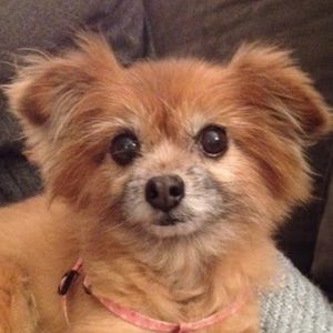 Meet your Posher, Alison